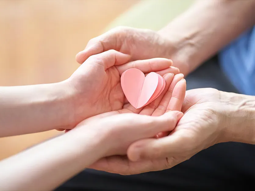 タイトルが入ります